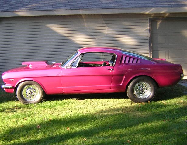 Make Model Ford Mustang Fastback Color Iris Year 1965